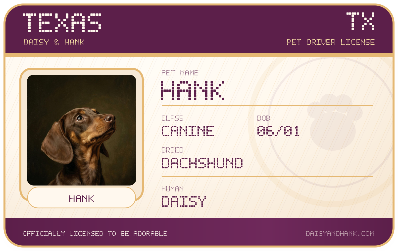 Example Daisy and Hank pet driver's license